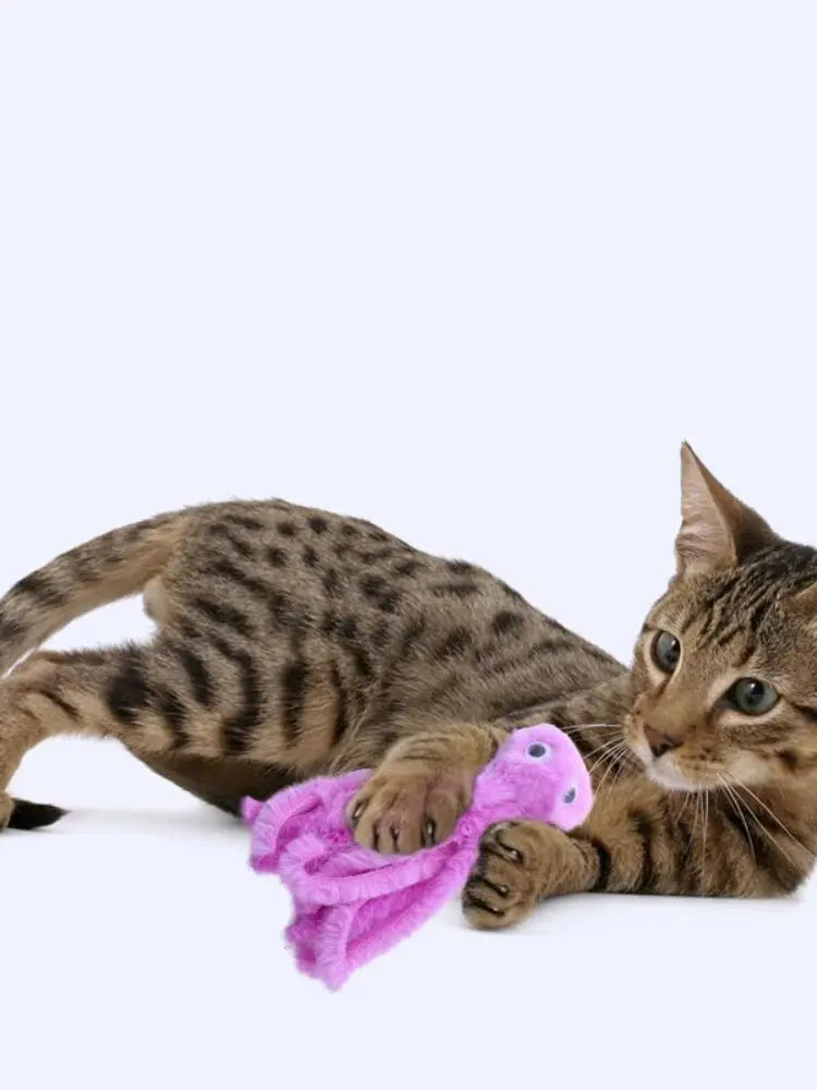 Pet Plush Toy Cat Catnip Octopus Shape Toy Bite Resistant Interactive Pet Cat Plaything Dog Teeth Cleaning Chew Toy Pet Supplies