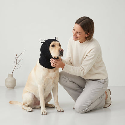 Rabbit Ear Dog Hat