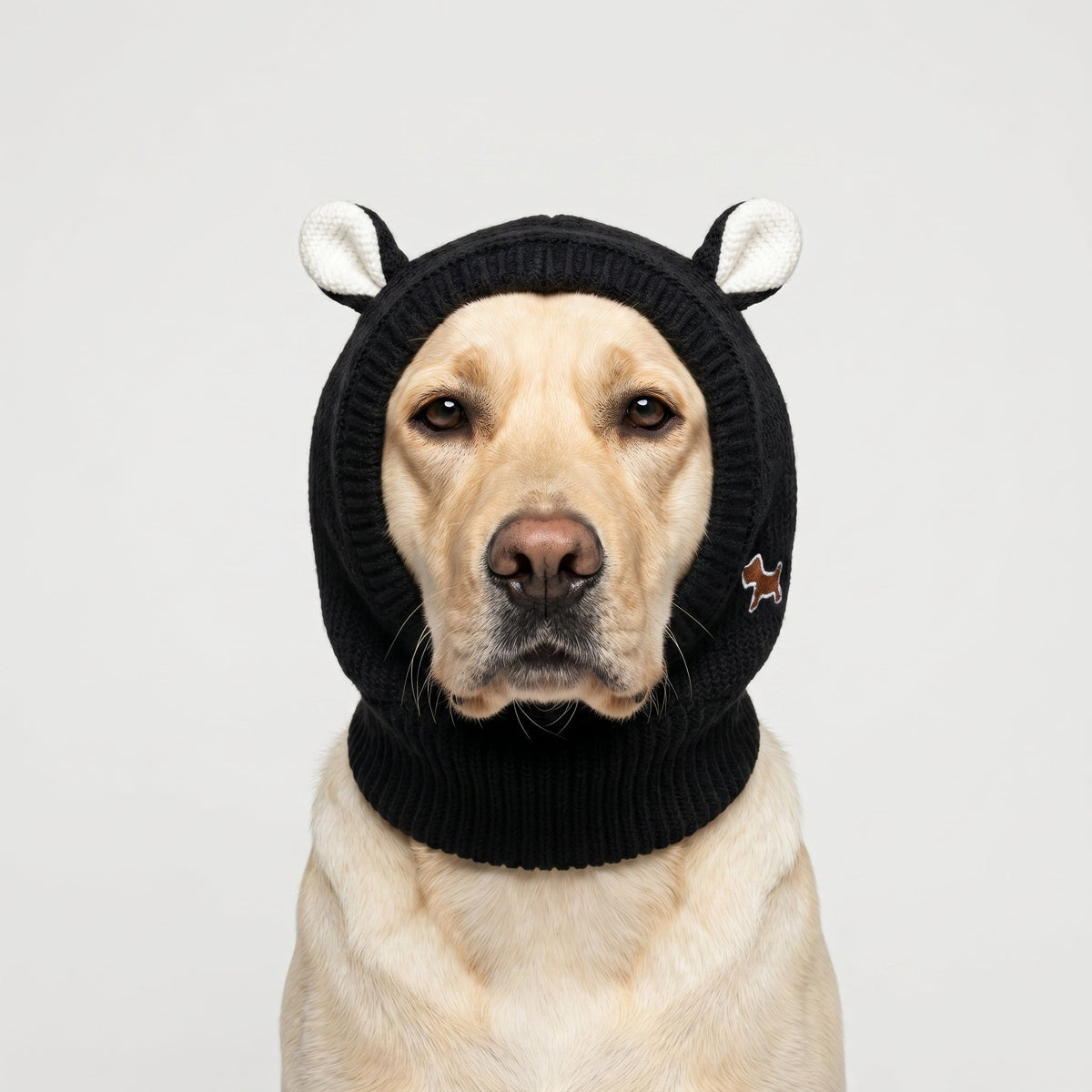 Rabbit Ear Dog Hat