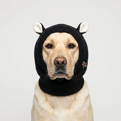 Rabbit Ear Dog Hat