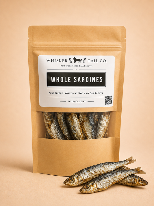 Sardines for Dogs & Cats | Omega-Rich Treat | Whisker & Tail Co.