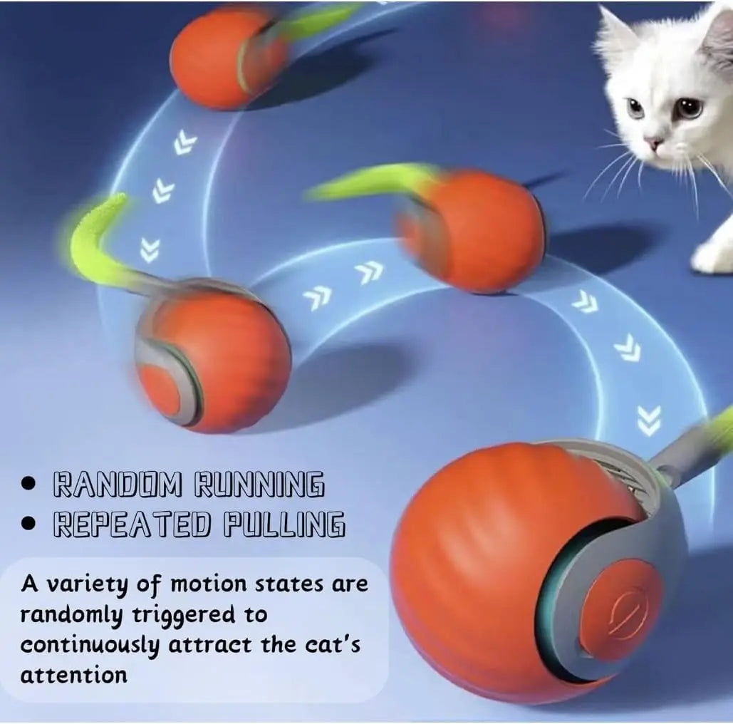 Interactive Cat Toy with Adjustable Rolling Ball, Electric Pet Plaything for Indoor Cats, Christmas Birthday Gift