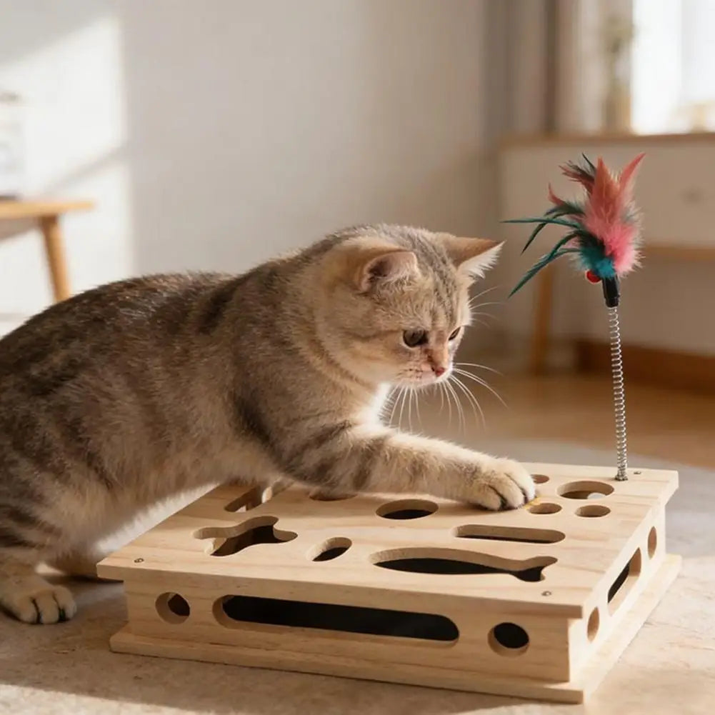 Cat Scratch Enrichment Box 3-in-1 Cat Scratch Puzzle Toy Cat Nail File Toy Protects Furniture for Indoor Cats Mental Stimulation