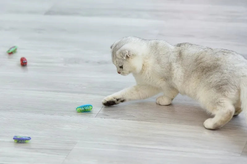 Cat Toys Luminescence Electric Worms Pet Interactions Insects Beetle Micro Worms Automatic Flipping Obstacle Avoidance Plaything