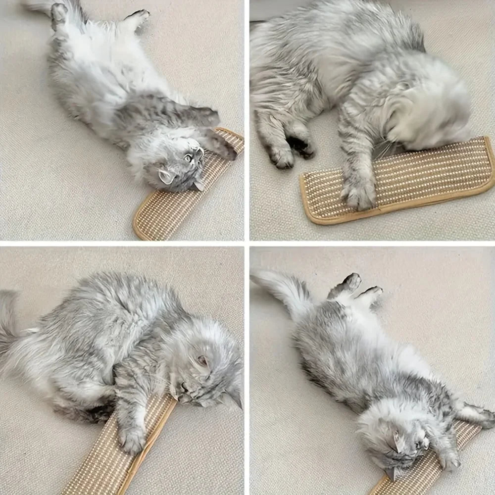 Cat Toy Game Pillow and Cat Scratching Pad for Solo Play and Intimate Interaction, Feline Entertainment