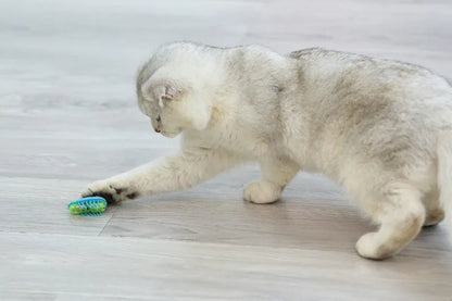 Cat Toys Luminescence Electric Worms Pet Interactions Insects Beetle Micro Worms Automatic Flipping Obstacle Avoidance Plaything