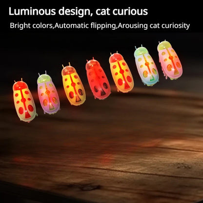 Cat Toys Luminescence Electric Worms Pet Interactions Insects Beetle Micro Worms Automatic Flipping Obstacle Avoidance Plaything