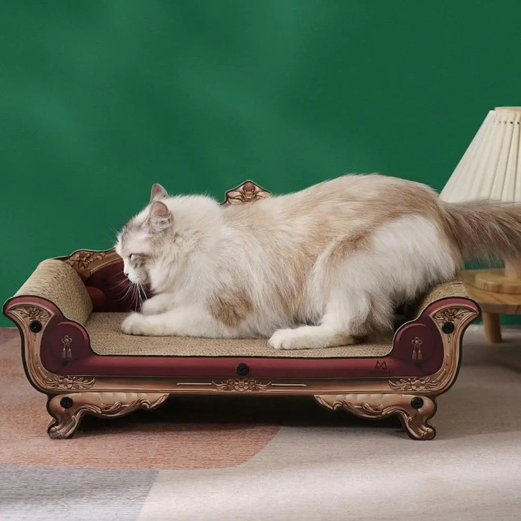 Scratch Pad Chair Cat Scratcher Sofa Bed for Grinding Claw Playing Exercise