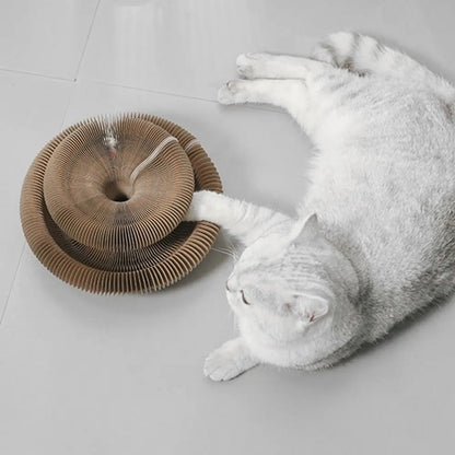 Transformable Kitty Kurlz Cat Toy Wear-Resistant No Crumbs Cat Scratching Board Resistant To Scratching