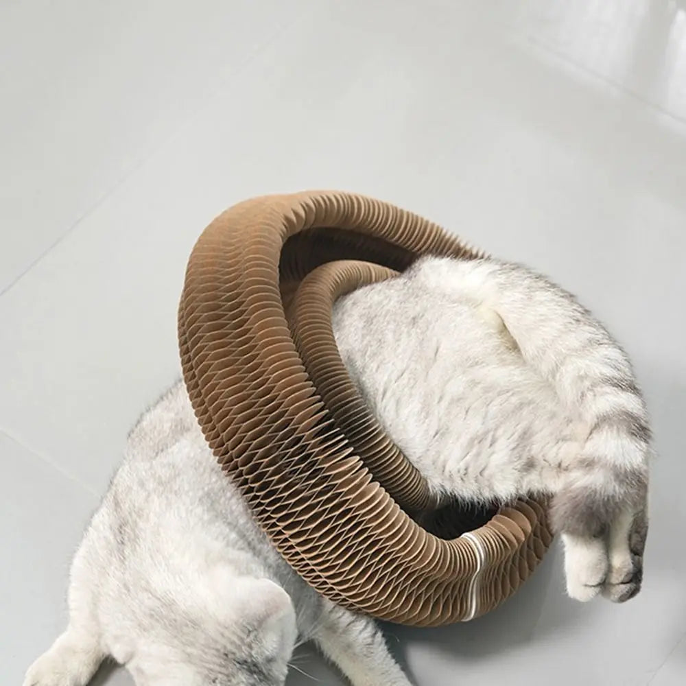 Transformable Kitty Kurlz Cat Toy Wear-Resistant No Crumbs Cat Scratching Board Resistant To Scratching