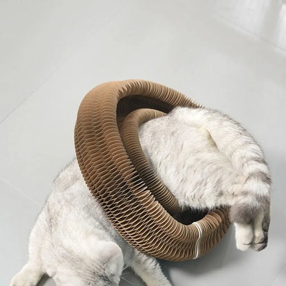 Transformable Kitty Kurlz Cat Toy Wear-Resistant No Crumbs Cat Scratching Board Resistant To Scratching