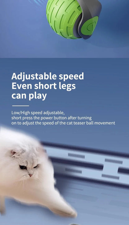 USB Rechargeable Interactive Electric Cat Toy Ball | Self-Rolling Teaser for Indoor Cats